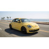New Beetle (8)