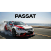 Passat (7)